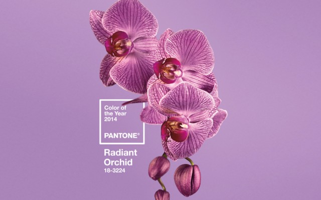 color-of-the-year-radiant-orchid-ctr