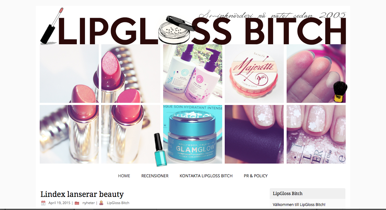 lipgloss bitch bloggdesign 2015