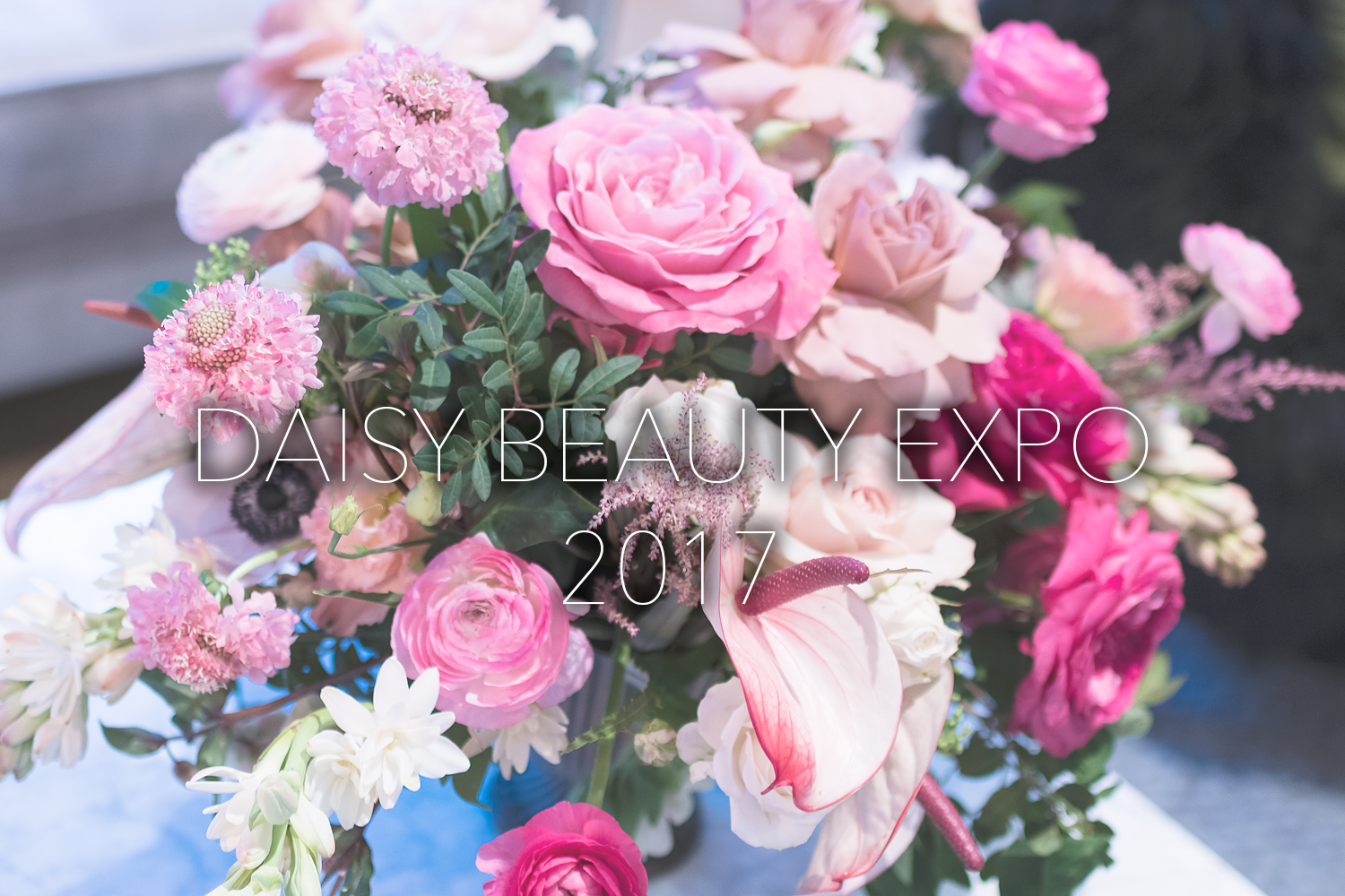 daisy beauty expo 2017